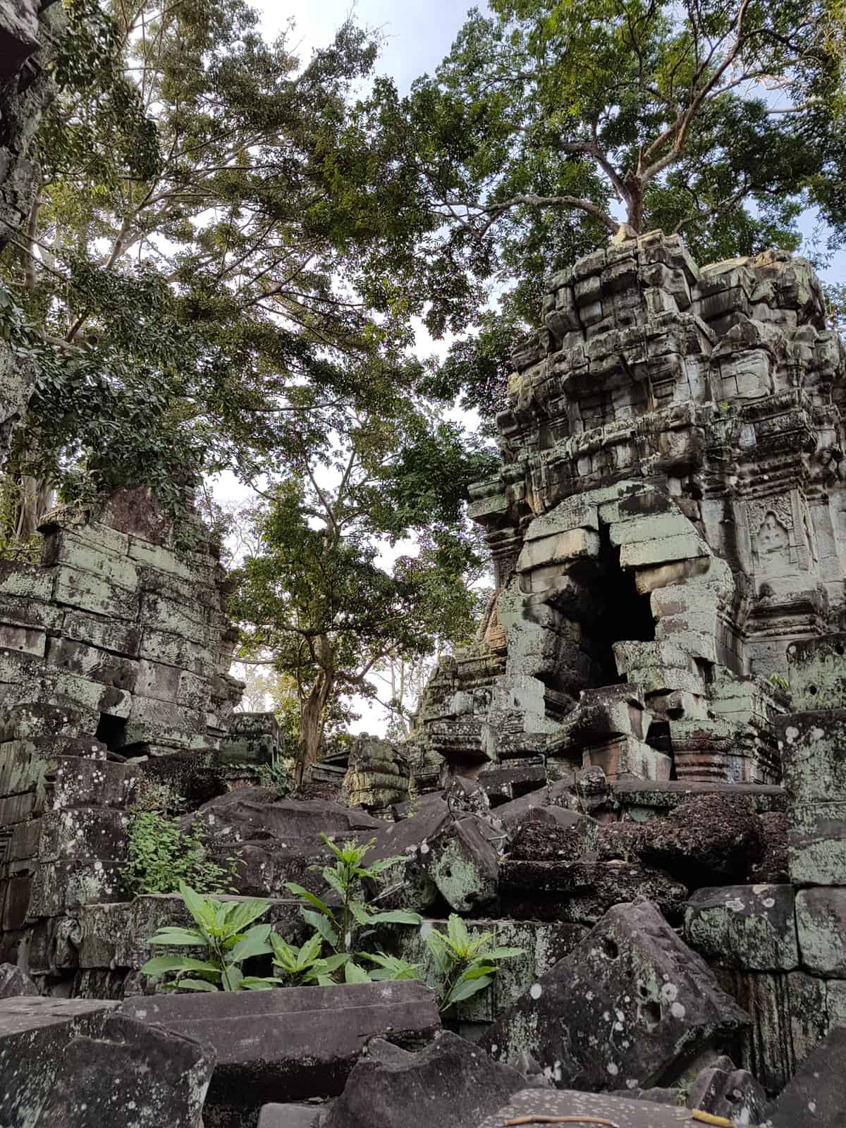 Ta Prohm Temple