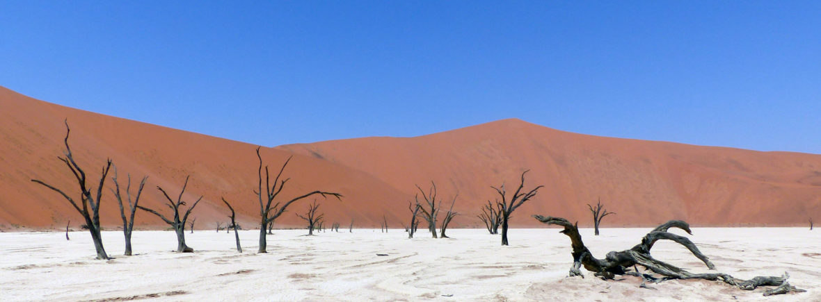 Dead Vlei at Sossusvlei, Namibia