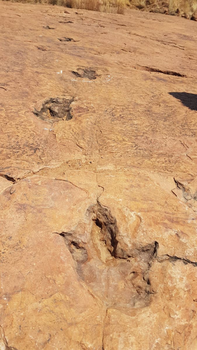 Namibia Dinosaur Tracks