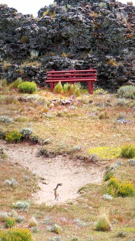 The picnic spot at the Pali Aike cave.